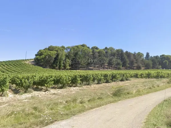 PROPRIÉTÉ VITICOLE proche Limoux dans l'Aude, 46 ha générant de 
