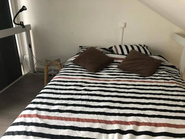 Studio 1 pièce 20 m² 