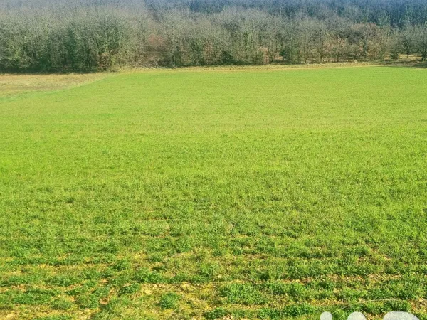 Terrain 9718 m² 