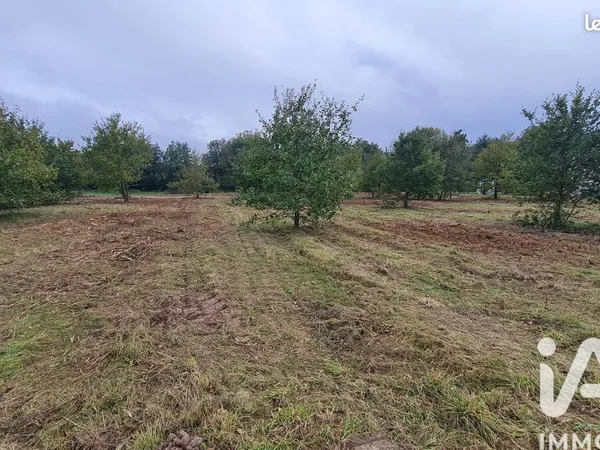 Terrain 1057 m² Coudroy 