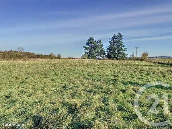 Terrain 15470 m² 
