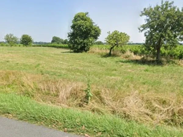 Terrain 1000 m² 