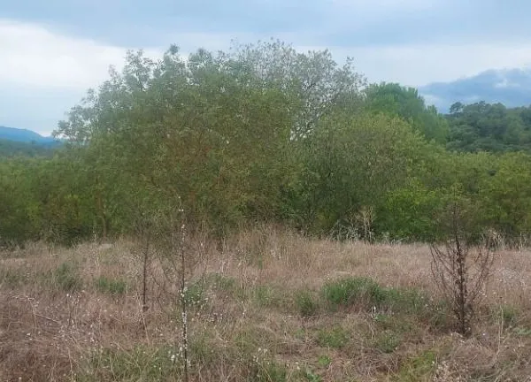 Terrain 5 090 m² Camps La Source 