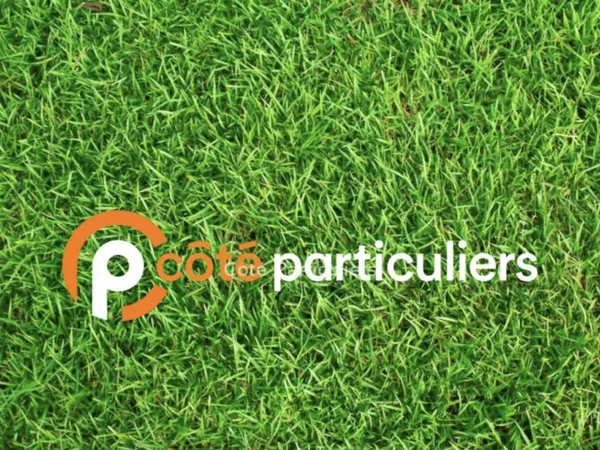 Terrain de 1000 m² 