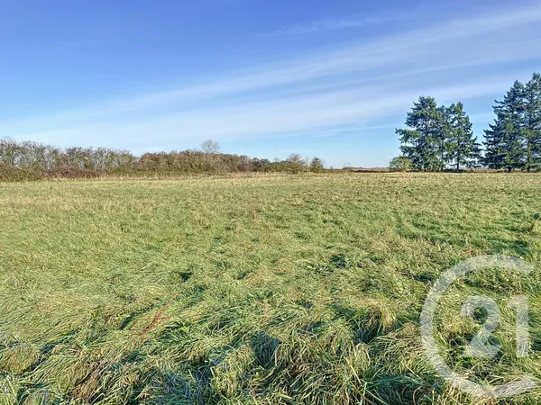 Terrain 15470 m² 