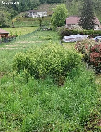 Terrain 1207 m² 