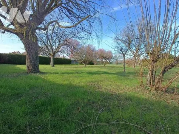 Terrain 646 m² 
