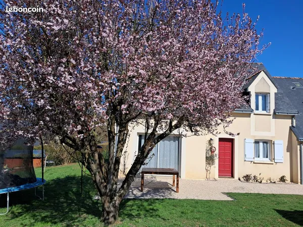 Belle maison spacieuse et lumineuse de 5 chambres + 1 bureau au calme de 178 m2 à Bouchemaine 