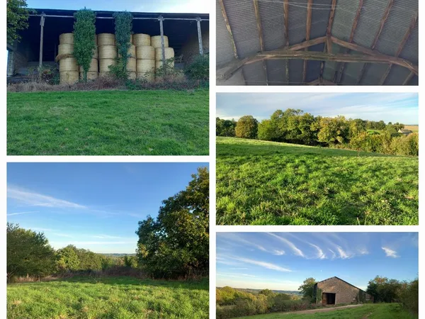 Hangar + terrain constructible - 55 000 € 