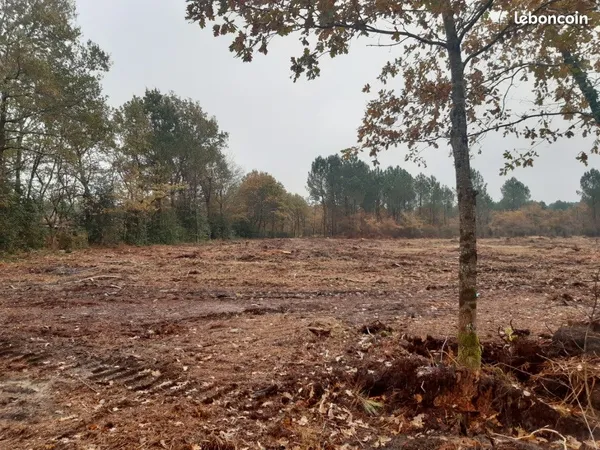 Terrain 350 m² Villenave D Ornon 
