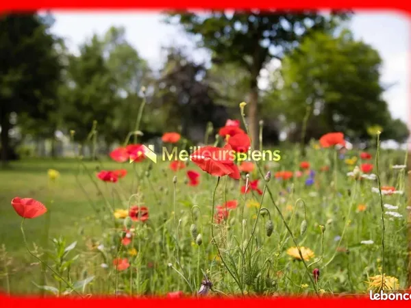 Terrain 920 m² Nivillac 