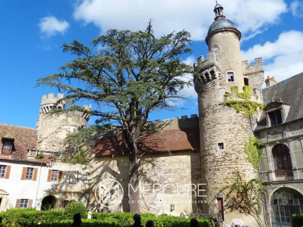 ALLIER, L4UN DES PLUS GRANDS ET PRESTIGIEUX CHATEAUX DE L'ALLIER 