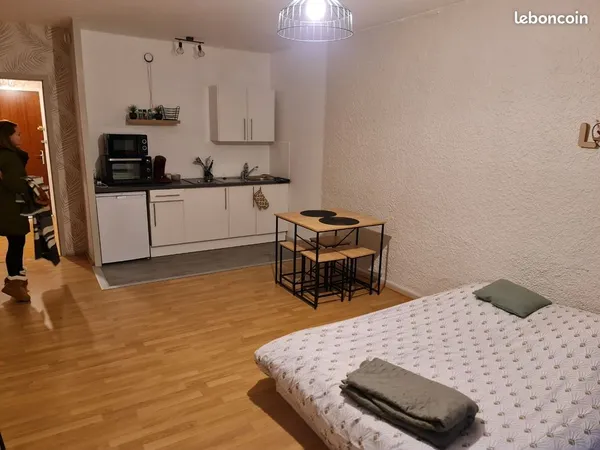 Appartement 35 m2 centre ville (rues piétonnes) 