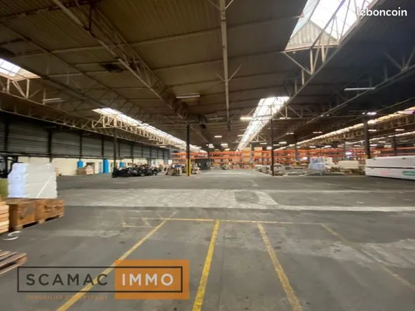 Local commercial 3000 m² 