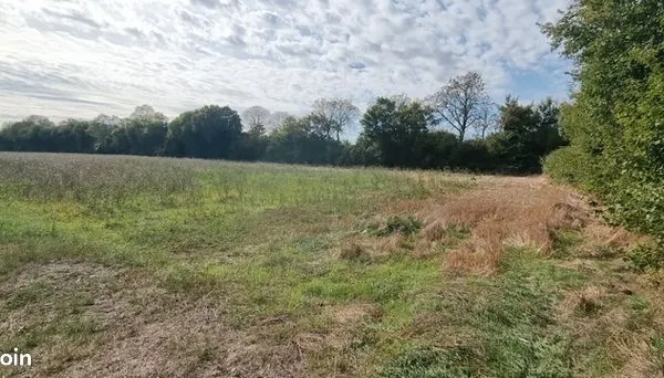Terrain 368 m² 