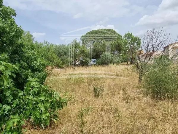 Terrain en individuel 375 m² 