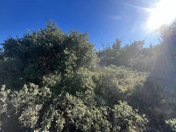 Terrain 6560 m² 
