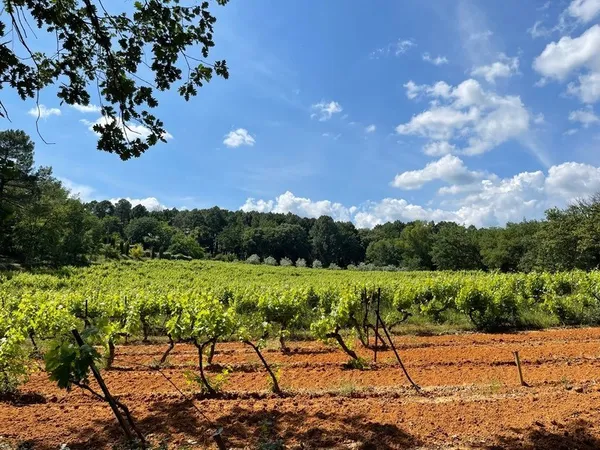 Dpt Vaucluse (84), à vendre Proche du village de ROUSSILLON maison P6 200 M2 TERRAIN 20 000 M2