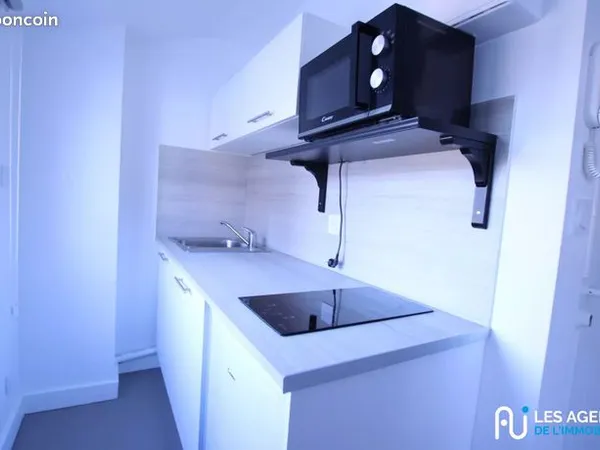 Appartement 1 pièce 15 m² 