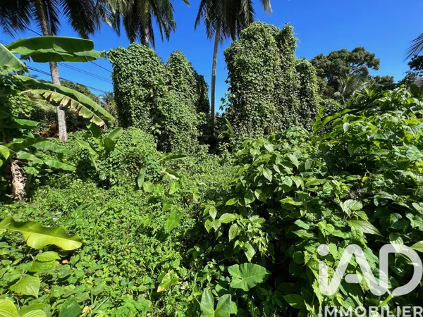 Terrain 600 m² 