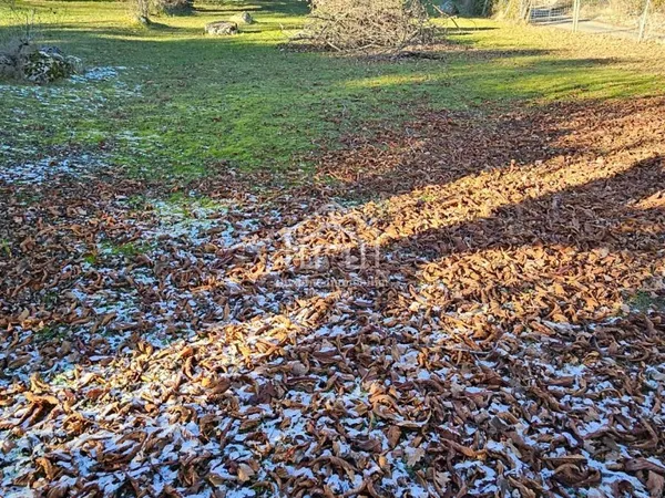 Terrain en individuel 1000 m² 