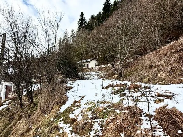 Le pont de la roche 
