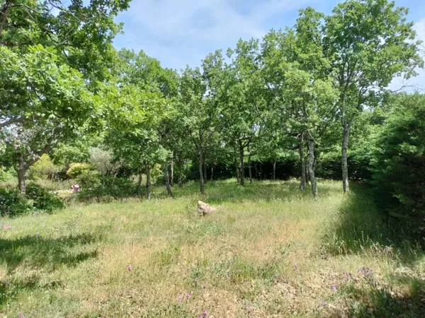Terrain 1183 m² 