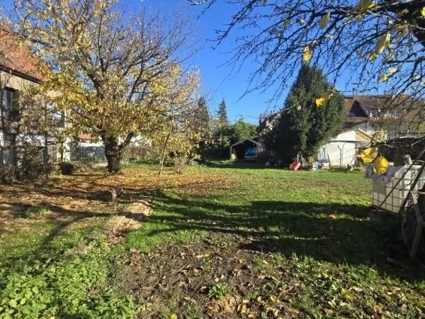 Terrain 956 m² Bischoffsheim 