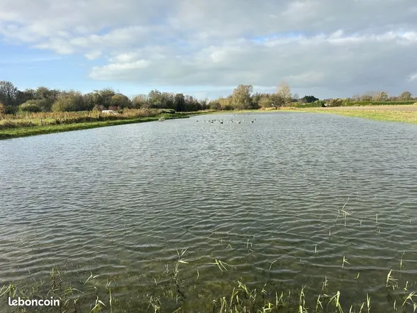 Terrain 8390 m² Cayeux-sur-Mer 