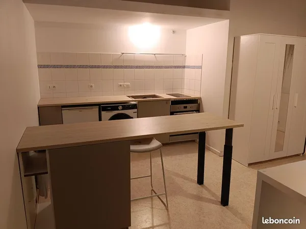 Appartement grenoble centre 