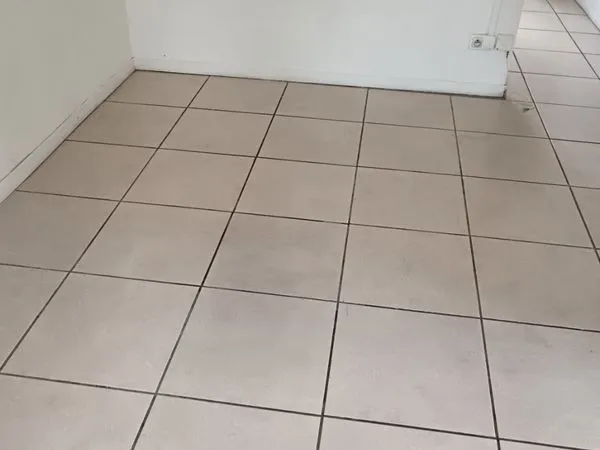 Maison Location Le Tampon 2p 60m² 800€