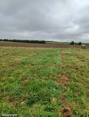 Terrain 641 m² 