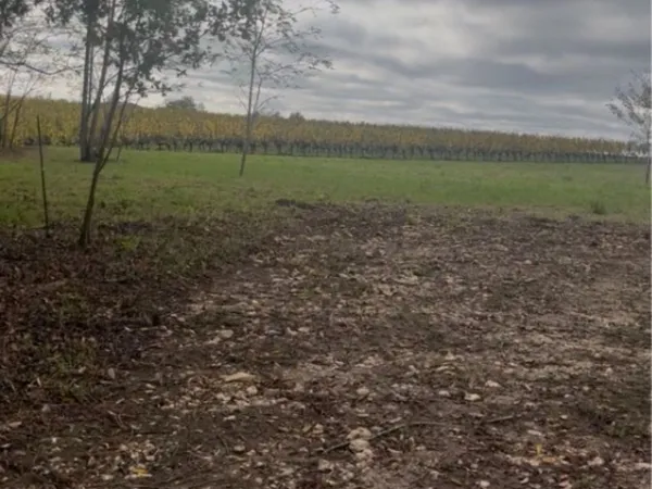 Terrain 5000 m² 
