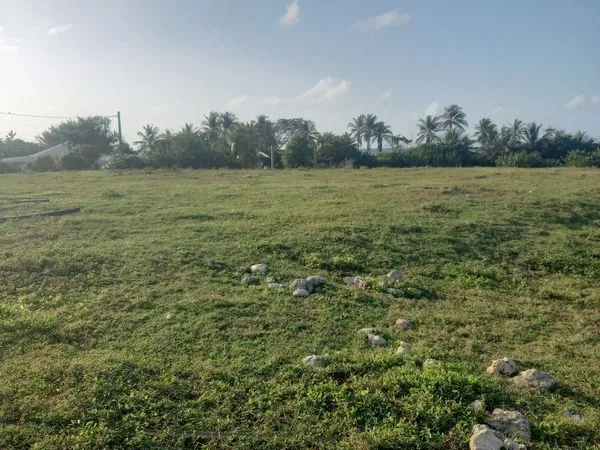 Terrains à vendre sur l'île de La Desirade 