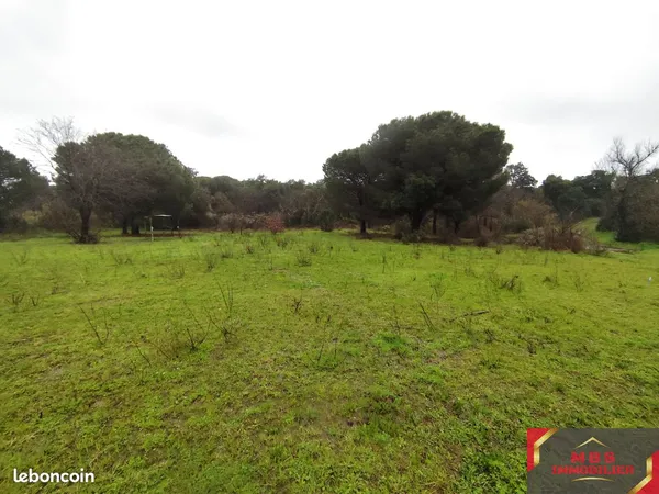Terrain 5200 m² Argelès-sur-Mer 