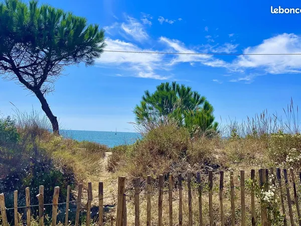 Murs commerciaux 290 m² Agde 