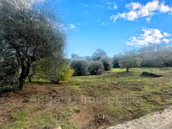 Vente terrain 