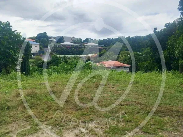 Terrain 585 m² 