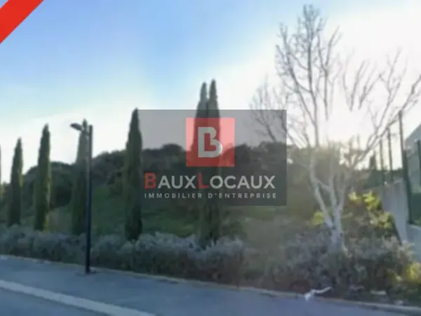 LOCAL COMMERCIAL A LOUER 