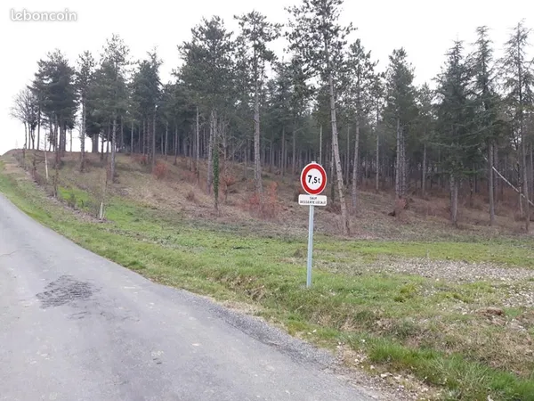 Forêt 17 160 m² Cauzac 