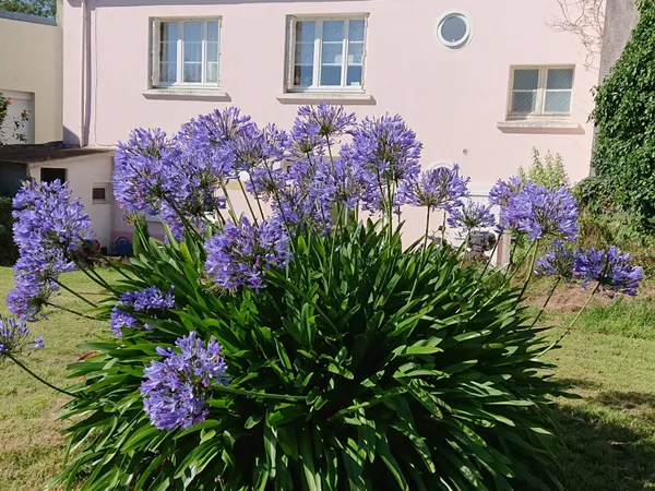 Vends maison 