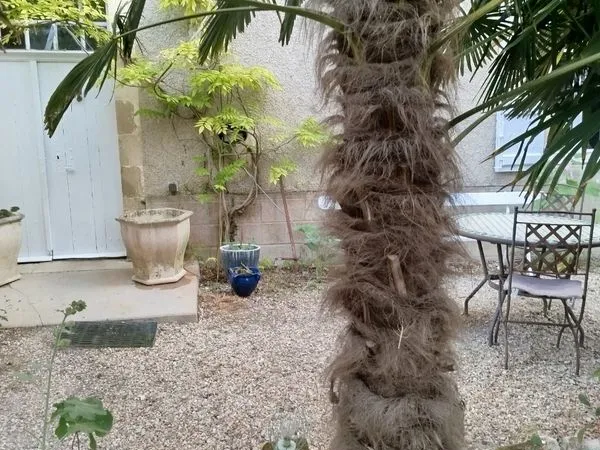 Maison de famille 