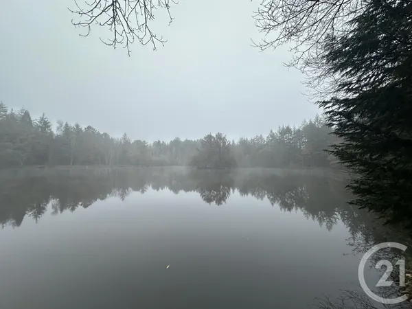 Terrain 201380 m² 
