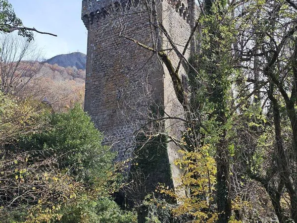 Château 10 pièces 300 m² 