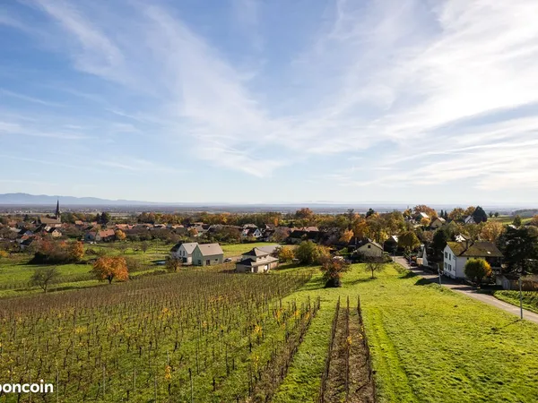 Terrain 314 m² Wuenheim 