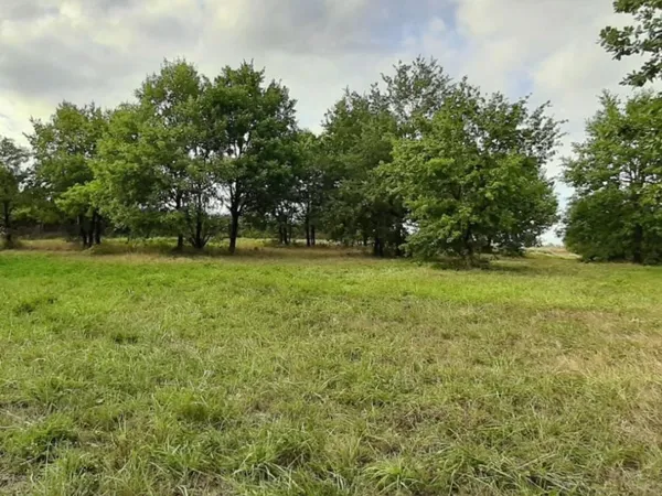 Terrain 1670 m² 