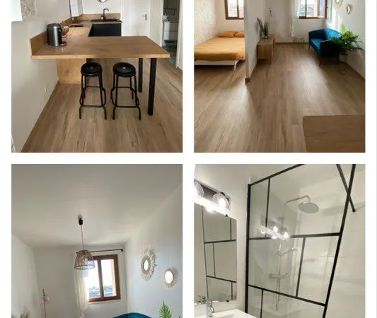T1 refait à neuf + pièce de 12m2 