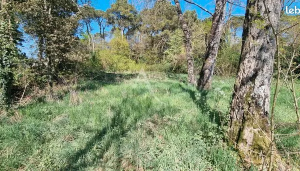 Terrain 800 m² 
