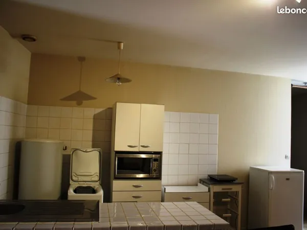 Studio 1 pièce 44 m² 
