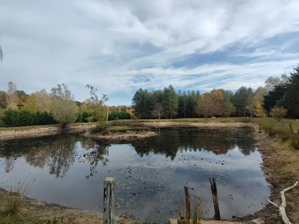 Terrain 28963 m² 